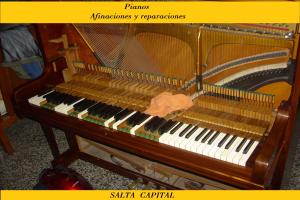 Miniatura publicación